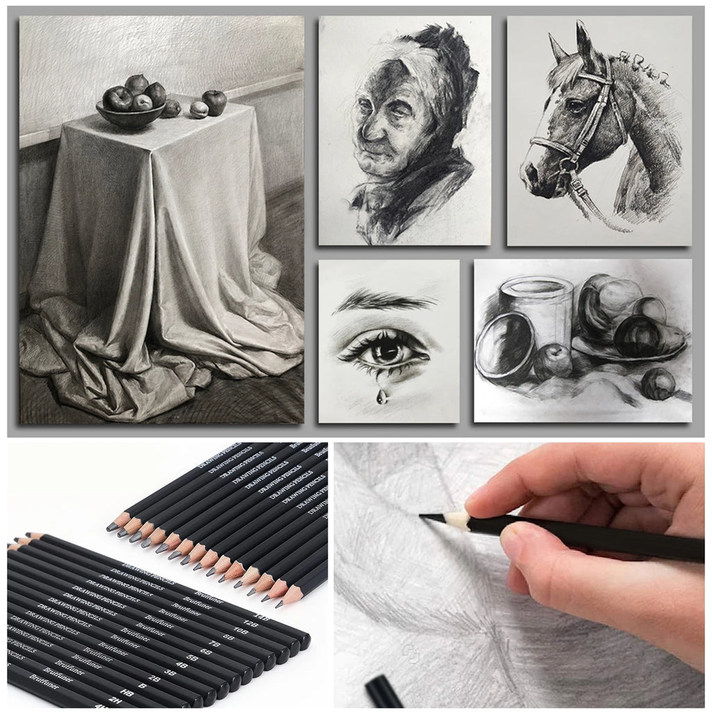 6/29 pcs Pro Sketching Drawing Pencils Set with Roll-Up Nylon Case,14 Graphite Pencils (14B-5H), Charcoal Pencils,Erasers